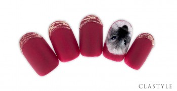 犬