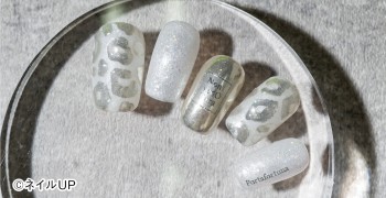 雪豹
