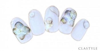 紫陽花